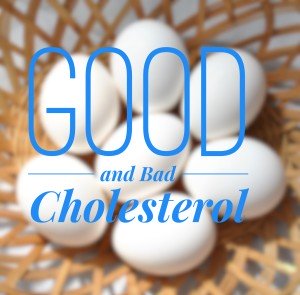 good and bad cholesterol